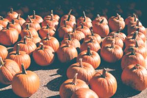 pumpkins