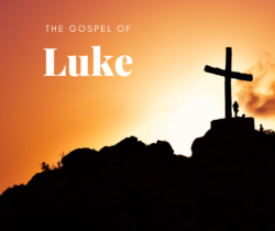 Luke 2:41-52