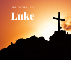 Luke 6:12-35